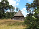 Urlaub in Dänemark 2019 (13)
Von Campingplatz zum Hof Tütsberg und zurück. 