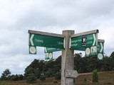Urlaub in Dänemark 2019 (14)
Die Strecke war 12km lang.