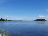 Urlaub in Dänemark 2019 (17)
Nächster Halt auf dem Campingplatz Kollund