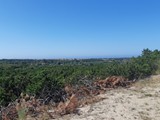Urlaub in Dänemark 2019 (26)
In der Nähe gint es eine versunkene Kirche und viele Wege zum Wandern.