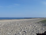 Urlaub in Dänemark 2019 (30)
Hier konnten die Hundchen an den langen Sandstränden ...