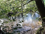 Urlaub in Dänemark 2019 (43)