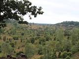 Urlaub in Dänemark 2019 (8)
... zum Wilseder Berg (was die hier halt Berg nennen).